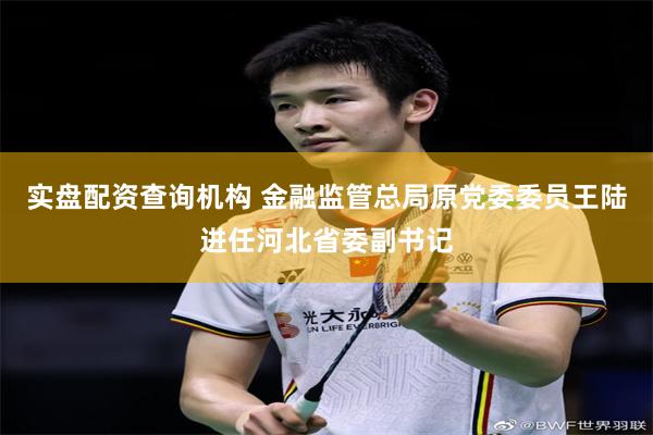 实盘配资查询机构 金融监管总局原党委委员王陆进任河北省委副书记