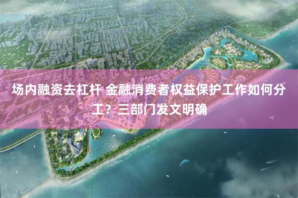 场内融资去杠杆 金融消费者权益保护工作如何分工？三部门发文明确