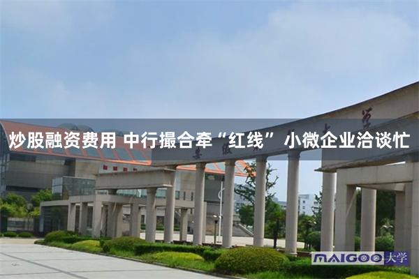 炒股融资费用 中行撮合牵“红线” 小微企业洽谈忙