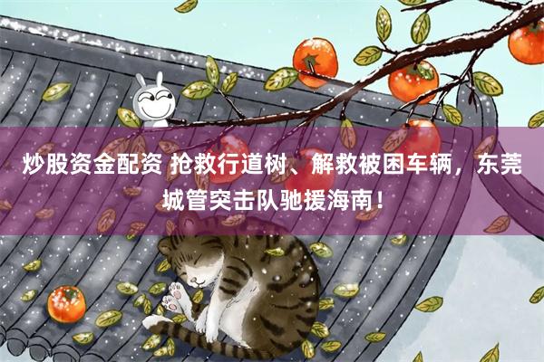 炒股资金配资 抢救行道树、解救被困车辆，东莞城管突击队驰援海南！