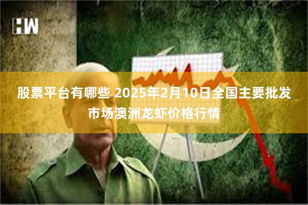 股票平台有哪些 2025年2月10日全国主要批发市场澳洲龙虾价格行情