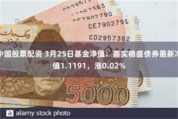 中国股票配资 3月25日基金净值：嘉实稳盛债券最新净值1.1191，涨0.02%