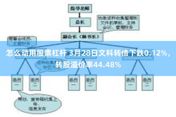 怎么动用股票杠杆 3月28日文科转债下跌0.12%，转股溢价率44.48%