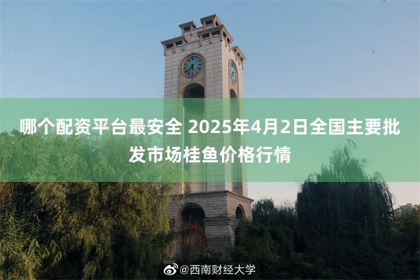 哪个配资平台最安全 2025年4月2日全国主要批发市场桂鱼价格行情