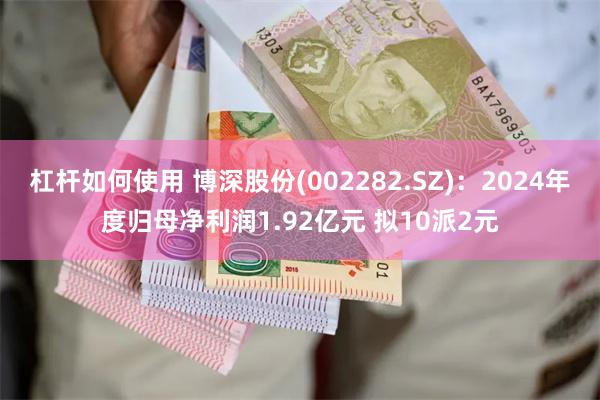 杠杆如何使用 博深股份(002282.SZ)：2024年度归母净利润1.92亿元 拟10派2元