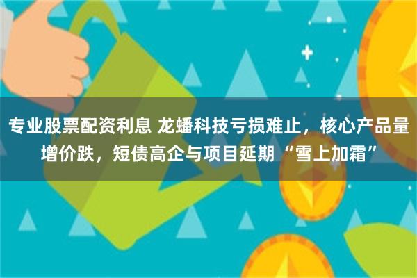专业股票配资利息 龙蟠科技亏损难止，核心产品量增价跌，短债高企与项目延期 “雪上加霜”
