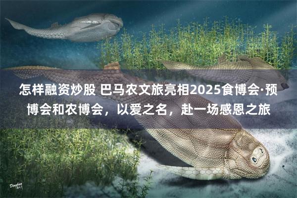 怎样融资炒股 巴马农文旅亮相2025食博会·预博会和农博会，以爱之名，赴一场感恩之旅