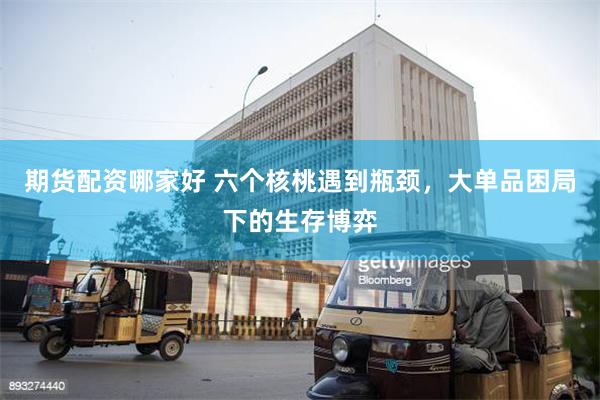 期货配资哪家好 六个核桃遇到瓶颈，大单品困局下的生存博弈