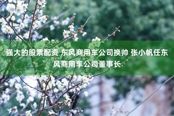 强大的股票配资 东风商用车公司换帅 张小帆任东风商用车公司董事长