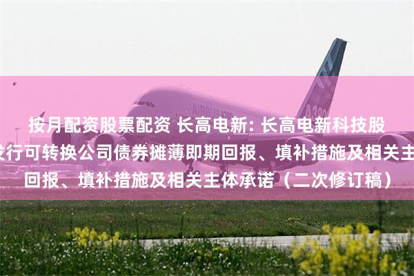 按月配资股票配资 长高电新: 长高电新科技股份公司向不特定对象发行可转换公司债券摊薄即期回报、填补措施及相关主体承诺(二次修订稿)