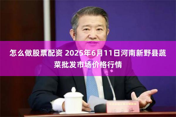 怎么做股票配资 2025年6月11日河南新野县蔬菜批发市场价格行情