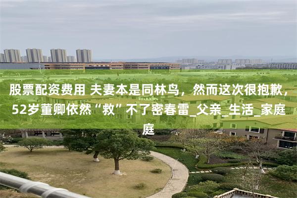 股票配资费用 夫妻本是同林鸟，然而这次很抱歉，52岁董卿依然“救”不了密春雷_父亲_生活_家庭