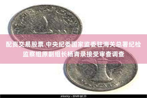 配资交易股票 中央纪委国家监委驻海关总署纪检监察组原副组长杨青录接受审查调查