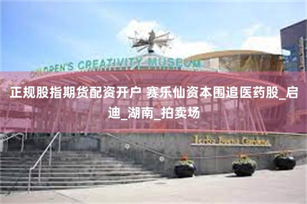 正规股指期货配资开户 赛乐仙资本围追医药股_启迪_湖南_拍卖场