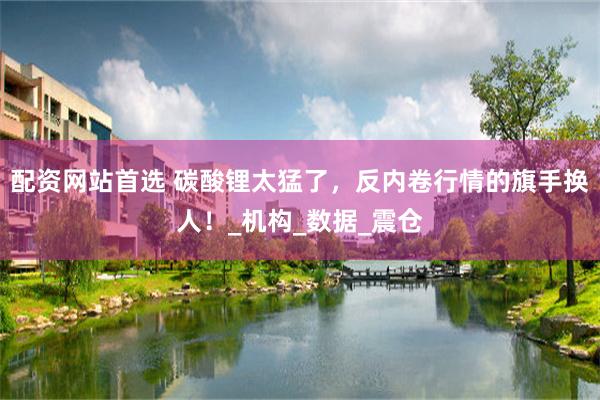 配资网站首选 碳酸锂太猛了，反内卷行情的旗手换人！_机构_数据_震仓