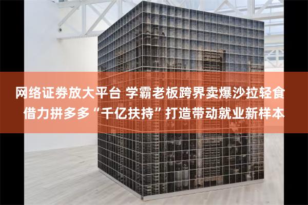 网络证劵放大平台 学霸老板跨界卖爆沙拉轻食  借力拼多多“千亿扶持”打造带动就业新样本