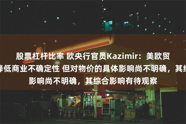股票杠杆比率 欧央行官员Kazimir：美欧贸易协定的敲定虽降低商业不确定性 但对物价的具体影响尚不明确，其综合影响有待观察