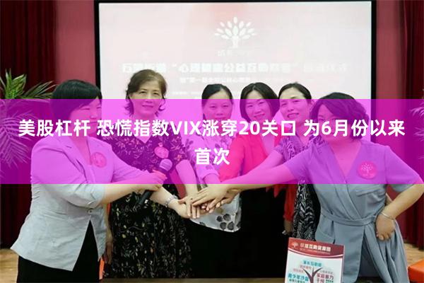 美股杠杆 恐慌指数VIX涨穿20关口 为6月份以来首次
