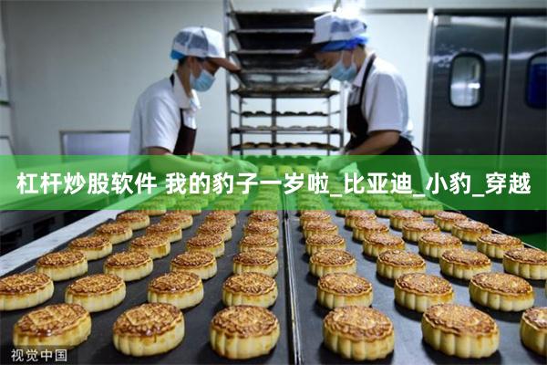 杠杆炒股软件 我的豹子一岁啦_比亚迪_小豹_穿越
