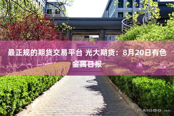 最正规的期货交易平台 光大期货：8月20日有色金属日报