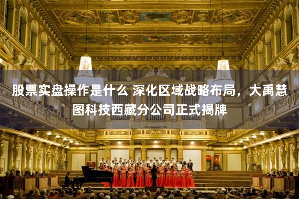 股票实盘操作是什么 深化区域战略布局，大禹慧图科技西藏分公司正式揭牌