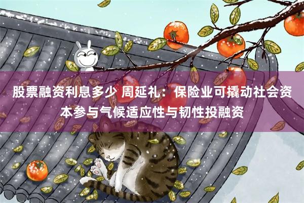 股票融资利息多少 周延礼：保险业可撬动社会资本参与气候适应性与韧性投融资
