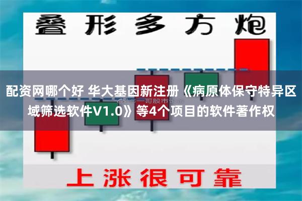配资网哪个好 华大基因新注册《病原体保守特异区域筛选软件V1.0》等4个项目的软件著作权