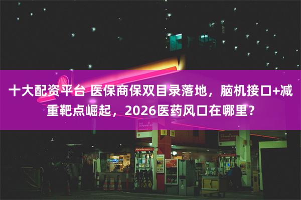 十大配资平台 医保商保双目录落地，脑机接口+减重靶点崛起，2026医药风口在哪里？